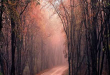 足球界世界大事揭晓，球员备赛加紧