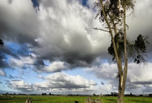 猛龙新援表现出色,球队士气大增