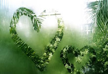 猛龙新援表现出色,球队士气大增