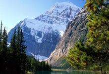 猛龙新援表现出色，球队士气大增