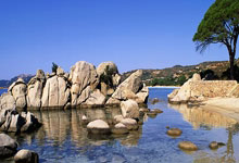 足球界世界大事揭晓，球员备赛加紧